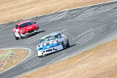 media/May-06-2023-Lucky Dog Racing (Sat) [[8f2256f436]]/Turn 2 10a/